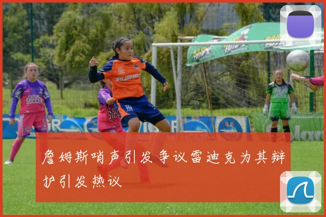 詹姆斯哨声引发争议雷迪克为其辩护引发热议